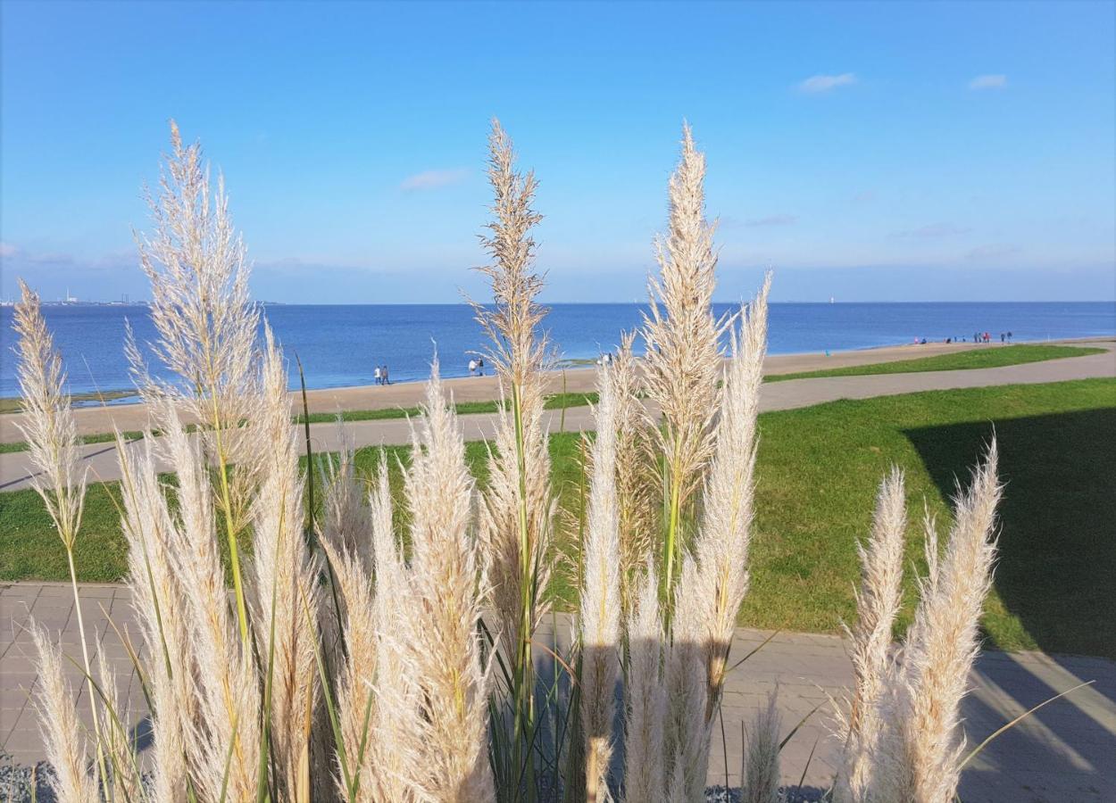 Apartment Jadestrand, Am Alten Deich 4-6, Whg 1 20 Дангаст Экстерьер фото